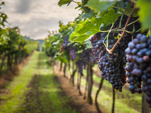 Wineries Wineries