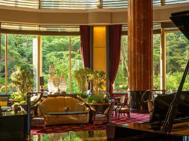 the lounge the lounge
