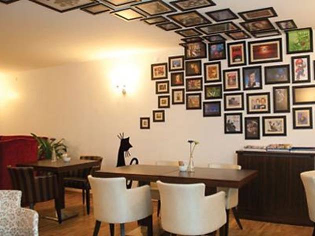 Cafe Damdaki Kedi Cafe Damdaki Kedi
