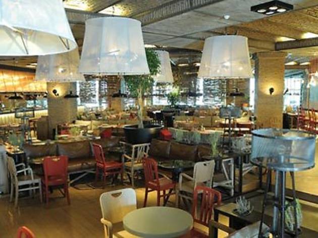 Earth Café Earth Café