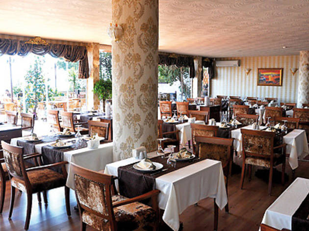Dragos Marina Dragos Marina