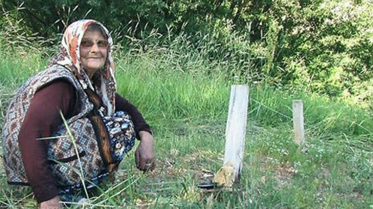 İki Tutam Saç: Dersim'in Kayıp Kızları