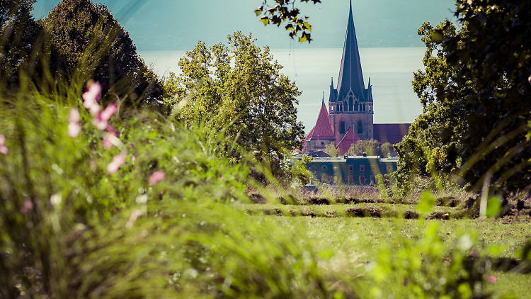 Hermitage park, lausanne park, time out switzerland