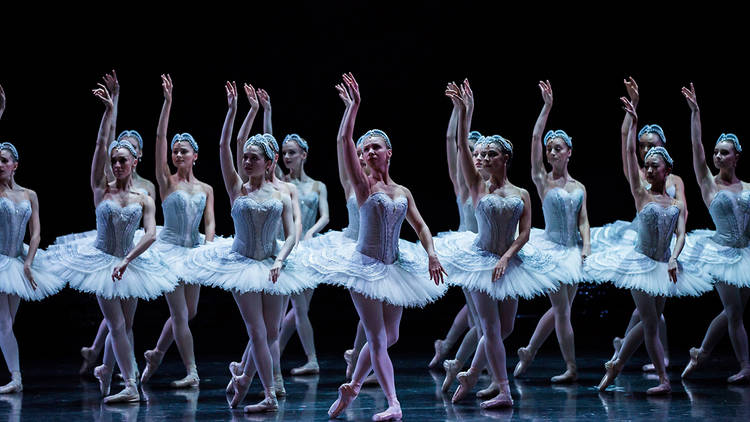 Swan Lake TAB 2016 2 (Photograph: Kate Longley)