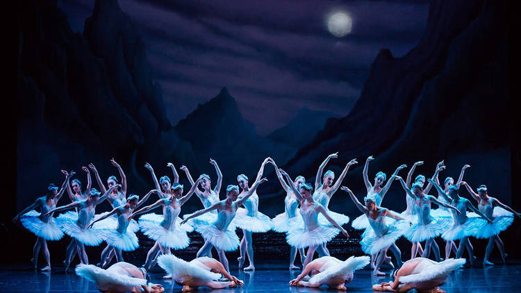 Swan Lake TAB 2016 7 (Photograph: Daniel Boud)