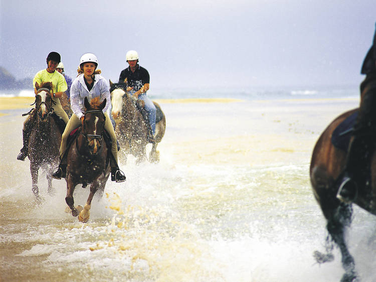 Gallop down the coast with Gunnamatta Trail Rides