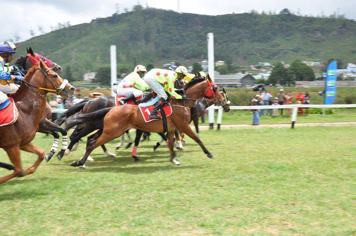 Horse Racing | Sport and fitness in Sri Lanka