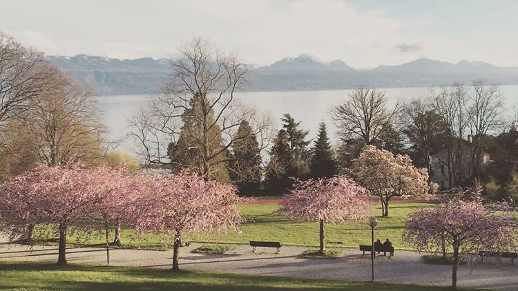 Enjoy a walk with a view