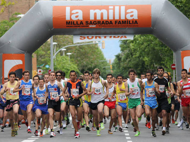 Milla Sagrada Familia Milla Sagrada Familia
