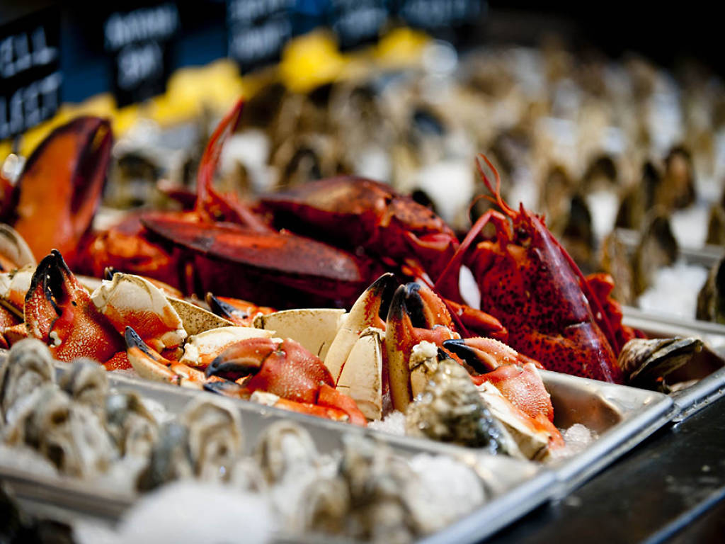 Best Lobster in Boston 15 Places with Top Lobster Dishes