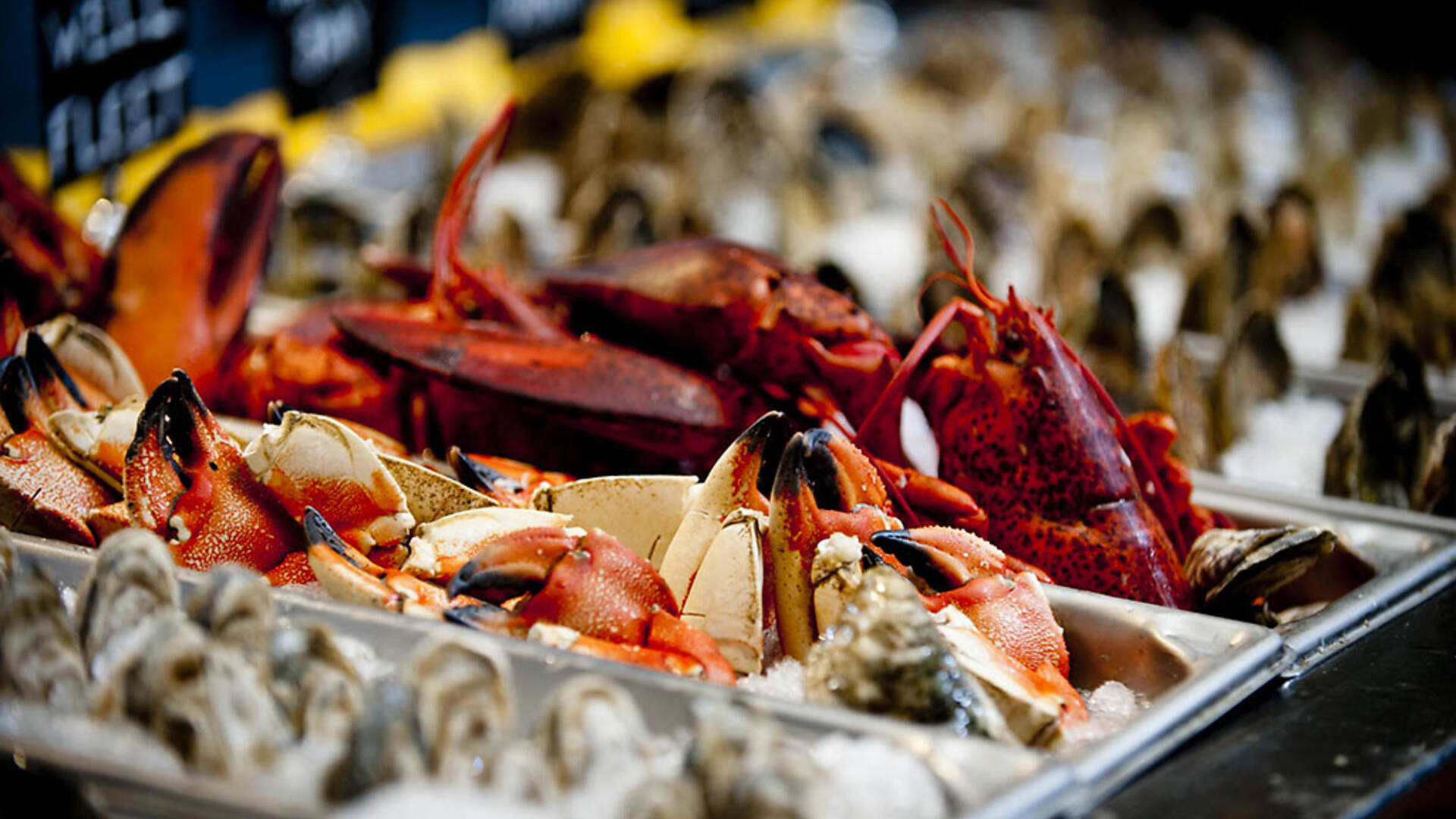 Neptune Oyster Restaurants in North End, Boston