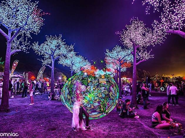 Nocturnal Wonderland Nocturnal Wonderland