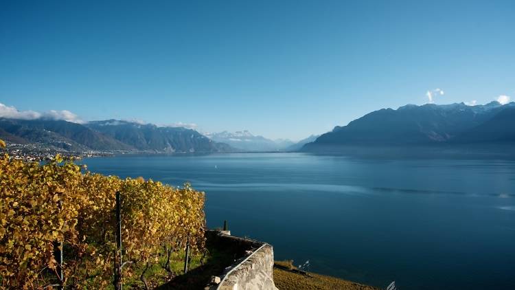 15 great photos of Lausanne in spring and summer