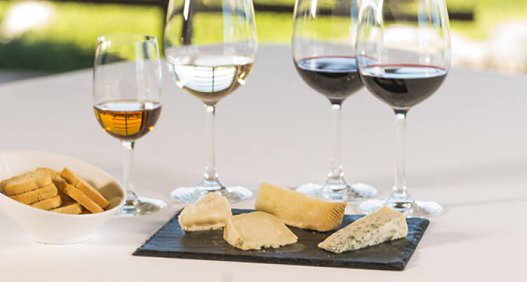 Wine and cheese pairings 