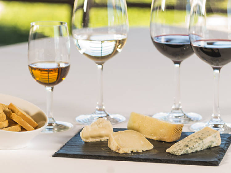 Wine and cheese pairings 