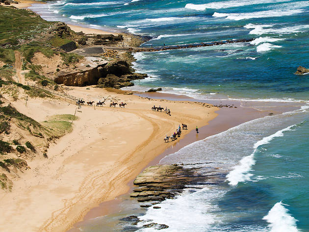 Gunnamatta Trail Ride Gunnamatta Trail Ride