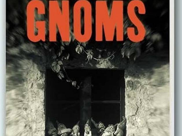 El raptor de gnoms El raptor de gnoms