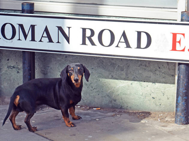 11 reasons to go to Roman Road in Bethnal Green and Bow 11 reasons to go to Roman Road in Bethnal Green and Bow