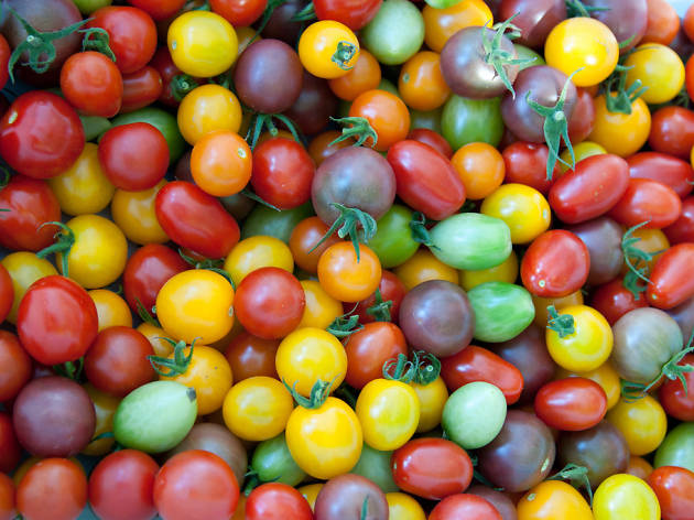 Tomatoes stock Tomatoes