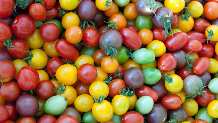 Tomatoes 