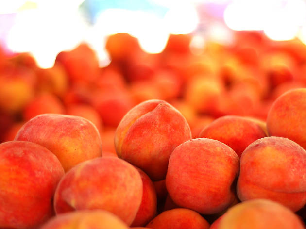 peaches stock peaches