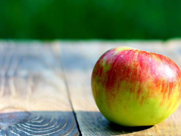apple stock apple