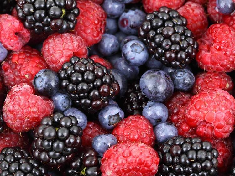 The best places for berry picking near Chicago