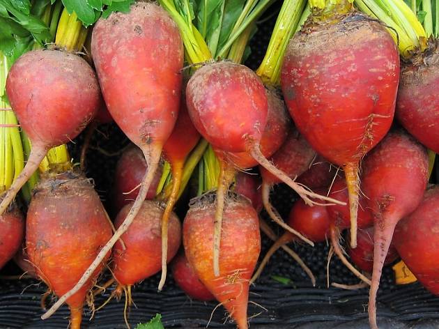 beets beets