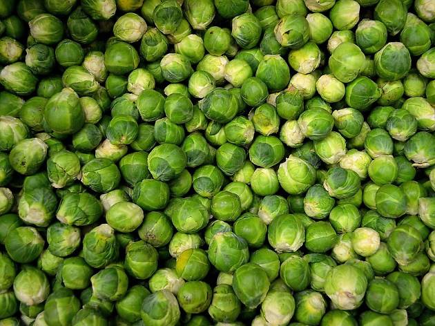 brussels sprouts brussels sprouts