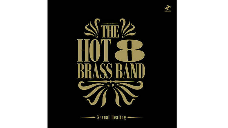 ‘Sexual Healing’ - The Hot 8 Brass Band