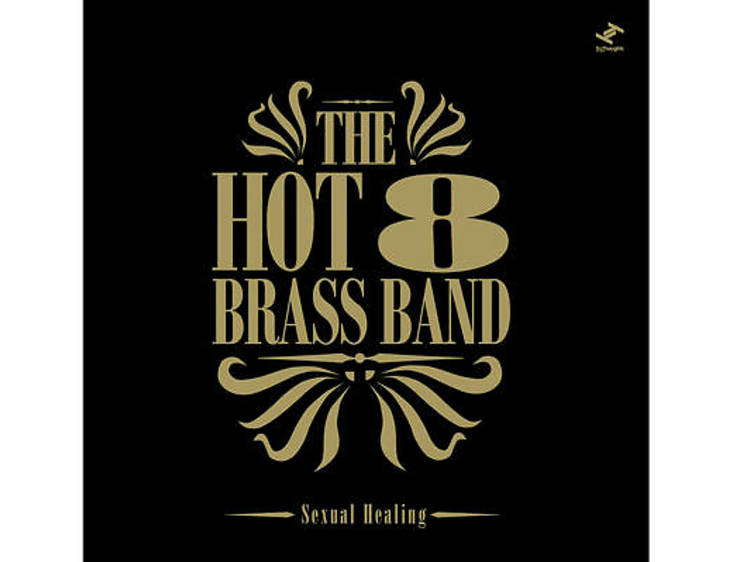 ‘Sexual Healing’ - The Hot 8 Brass Band