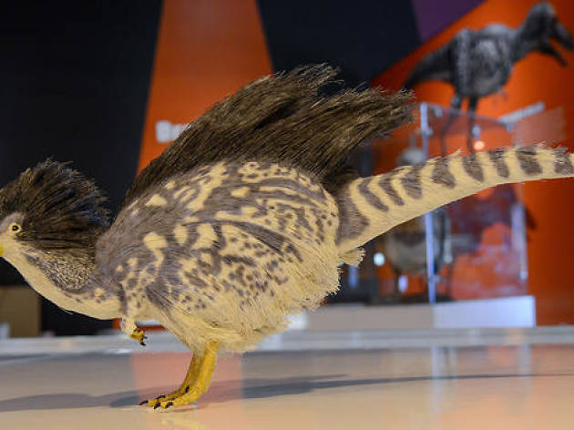 "Dinosaurs Among Us" "Dinosaurs Among Us"