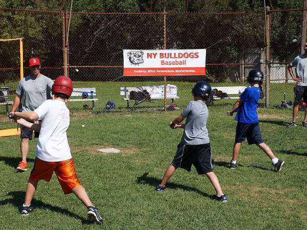 Bulldog Ball Club Baseball Camp Bulldog Ball Club