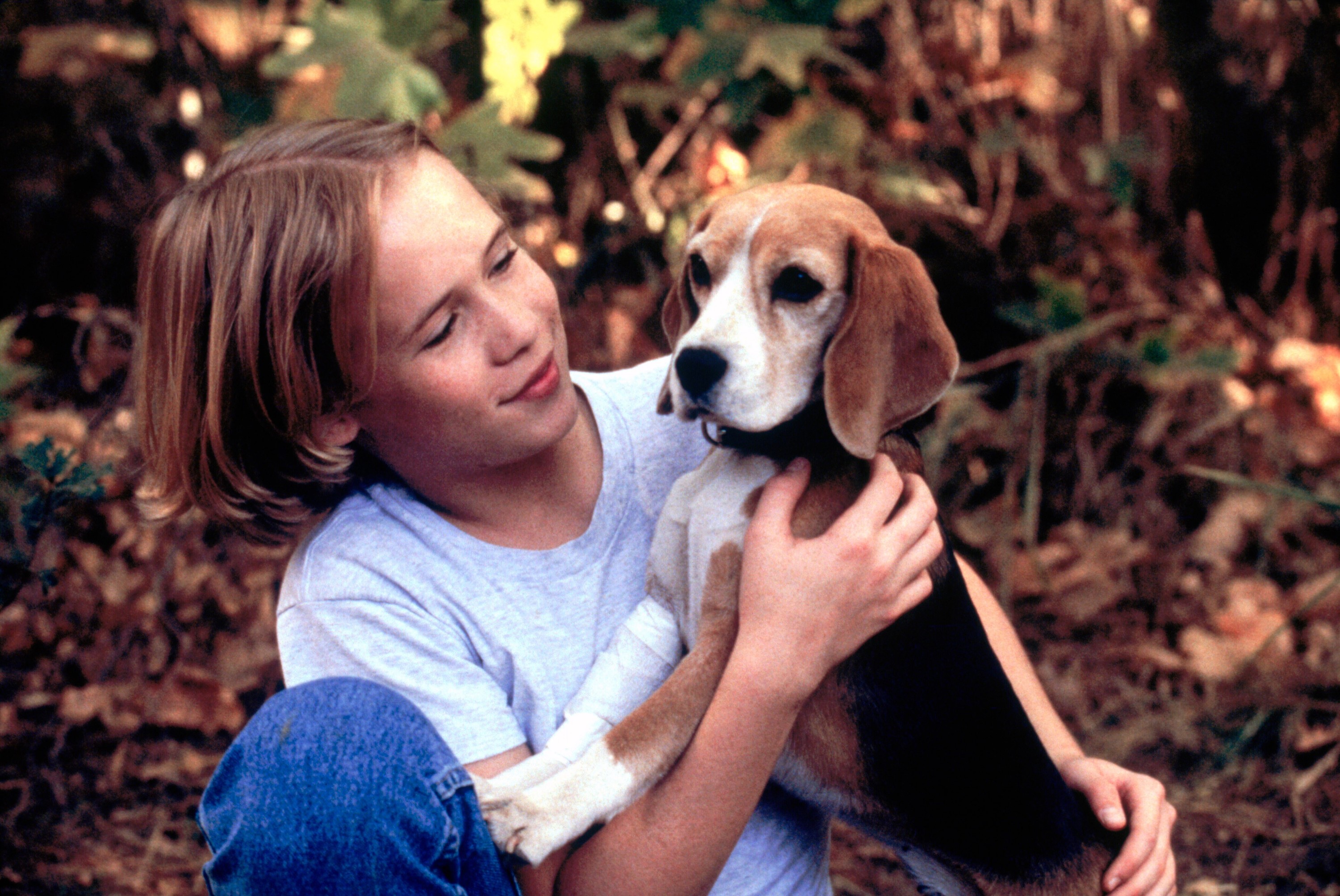 30 Best Animal Movies and Pet Movies To Watch As a Family