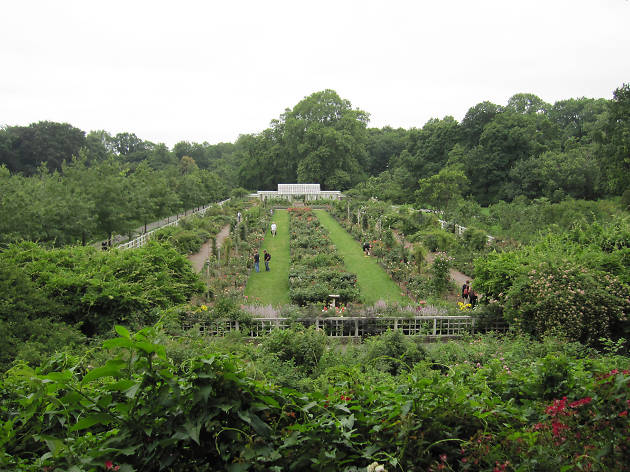 brooklyn botanic garden