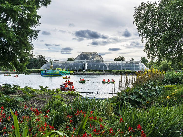 Explore giant greenhouses at Kew Gardens