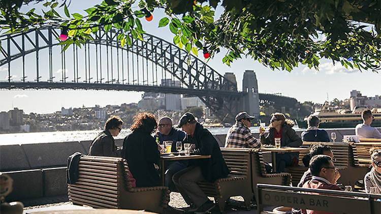 the harbour bridge behind opera bar