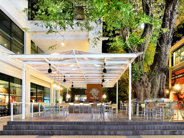 Tree Bar G Hotel Tree Bar G Hotel