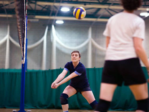 Volleyball Volleyball