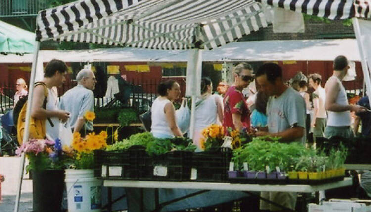 Greenpoint/McCarren Park Greenmarket