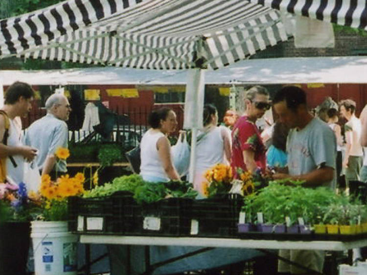 Greenpoint/McCarren Park Greenmarket