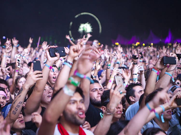 Coachella won’t be happening this spring—but, come on, you already knew that