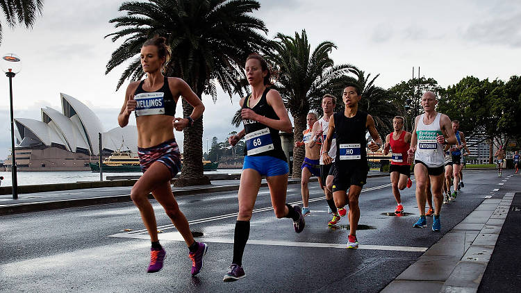 Runners leading the race at Sydney Half Marathon