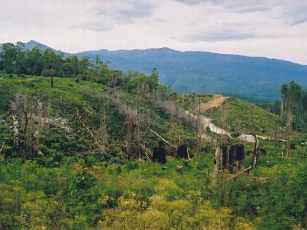 Huon Valley scenery of the Huon Valley