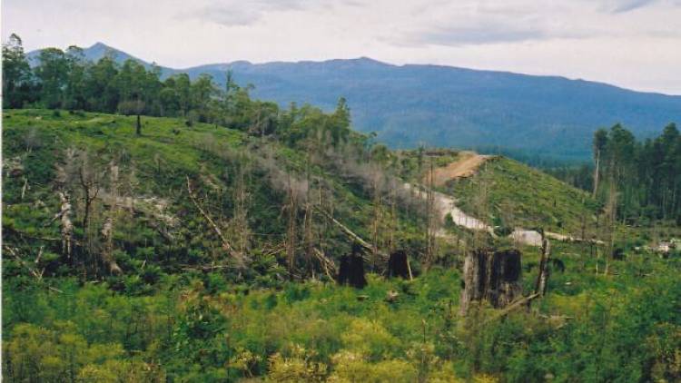 scenery of the Huon Valley