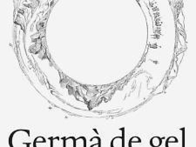 Germà de gel Germà de gel