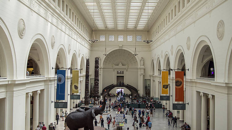 Field Museum interior