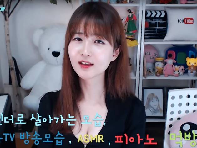 bj파니 bj파니