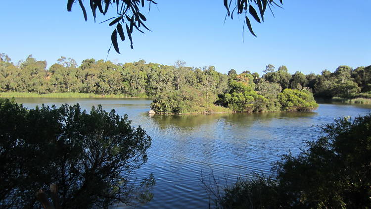 Newport Lakes in Newport, Victoria