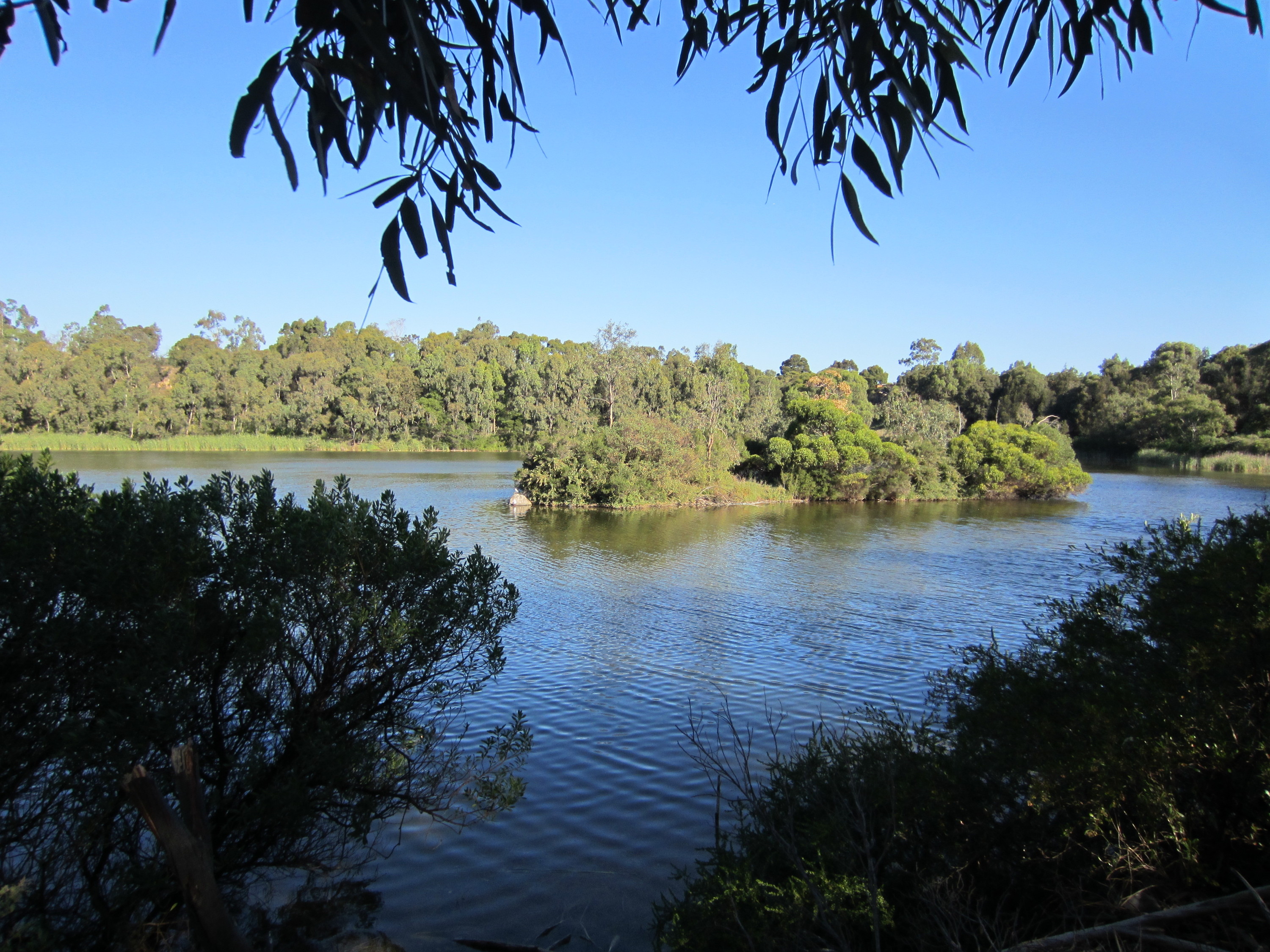 Newport Lakes | Attractions in Newport, Melbourne